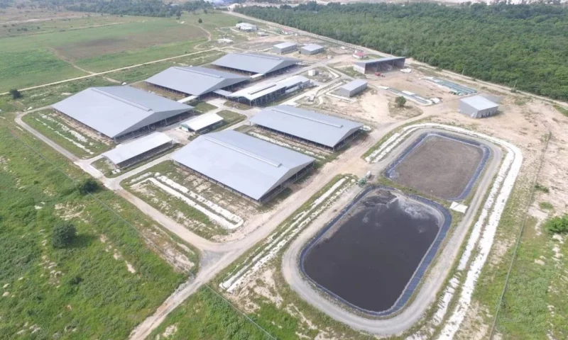 Kandang Hewan, Kamboja