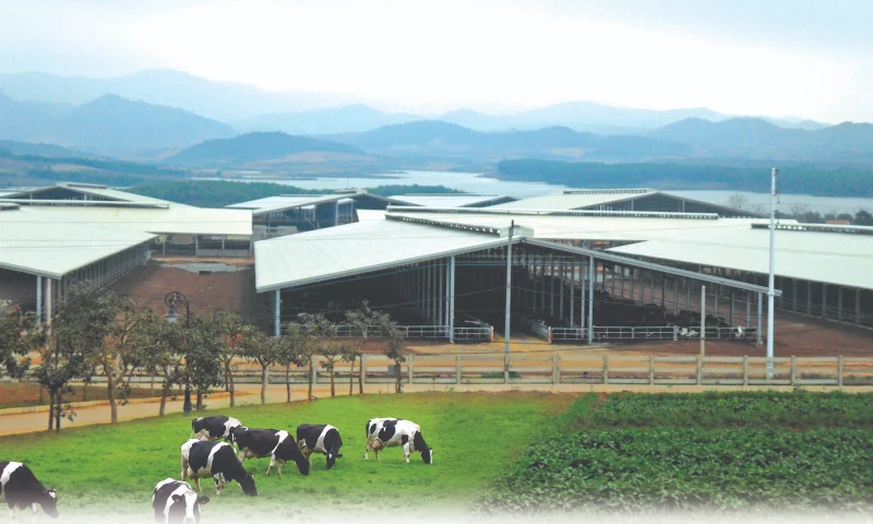 Keuntungan bangunan baja pra-rekayasa dalam konstruksi pertanian