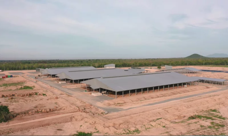 Bangunan baja prefabrikasi fleksibel dalam desain dan perluasan