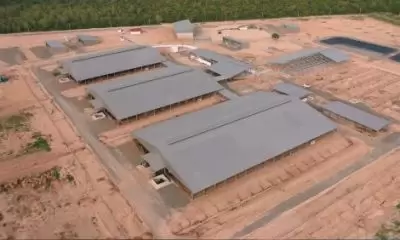 Baja Pre-engineered Steel Building thumnails